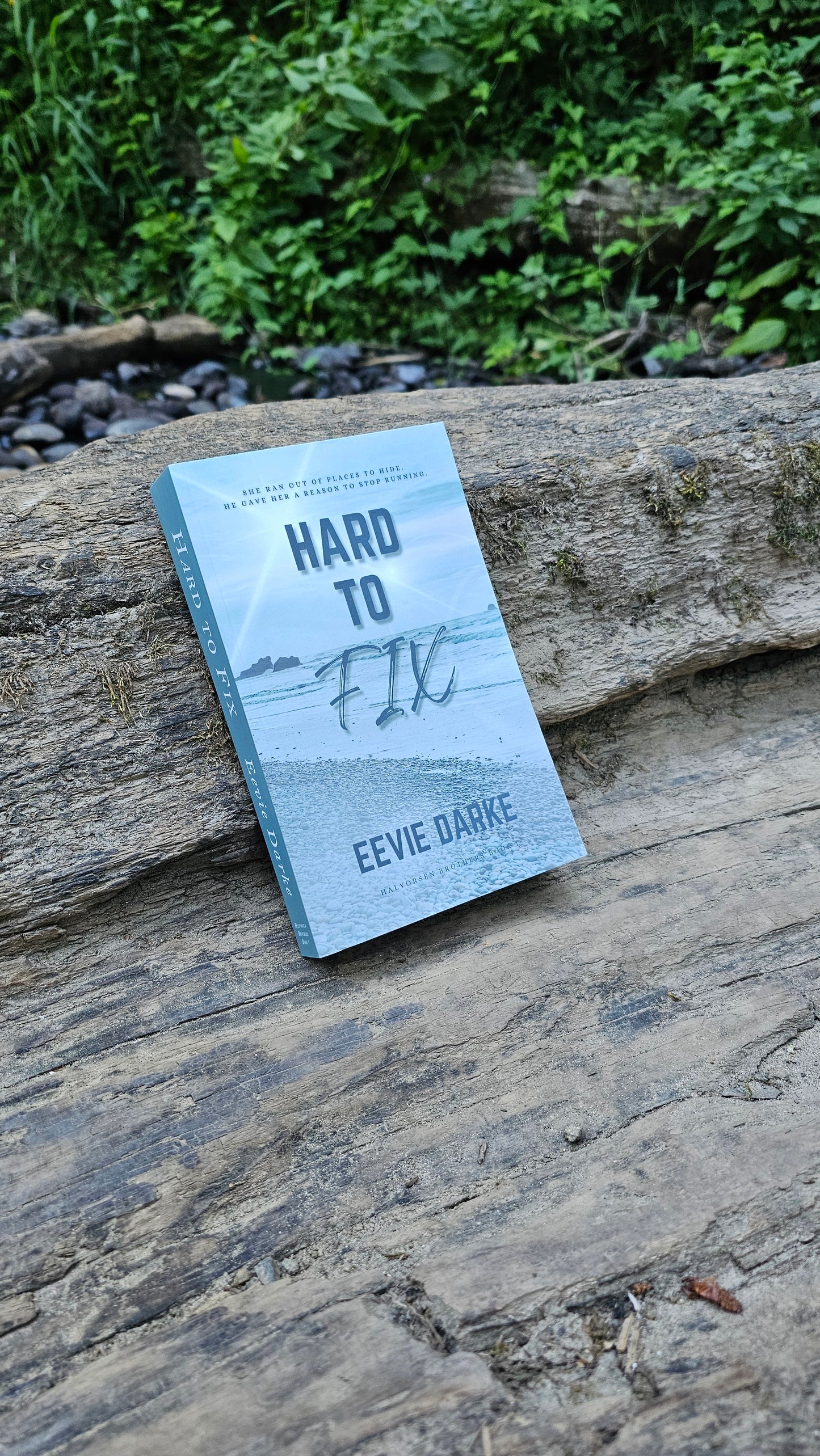 Hard to Fix (Paperback)